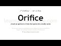 Orifice Meaning In English