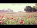GARNET CROW 君を飾る花を咲かそう Confetti Concerto