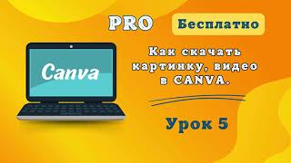 Как скачать видео, картинку в CANVA?