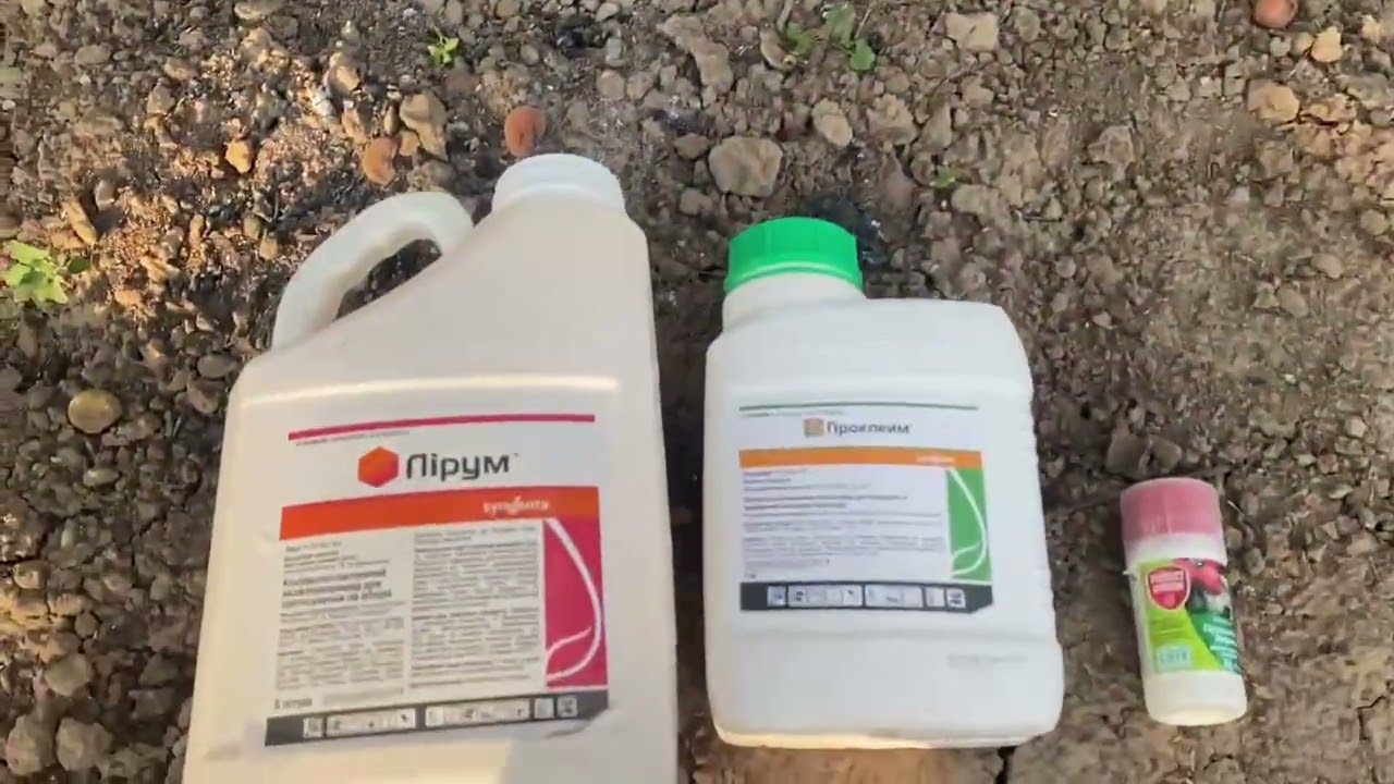 Все про плодожерки,яблунева,грушева, сливова, східна.