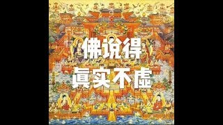 201710 佛说得真实不虚22638