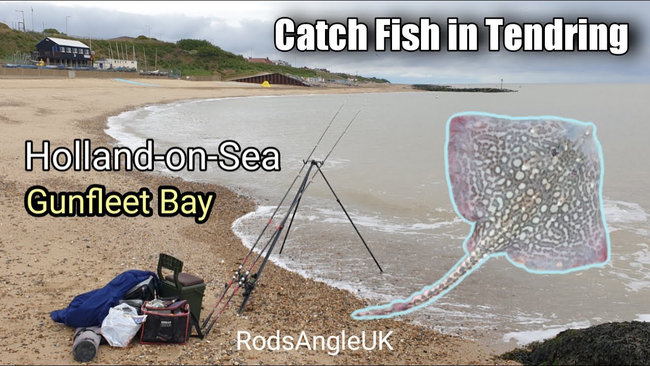 What Fish Are Being Caught At Chesil Beach