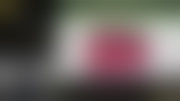 Best approach for loss of domain