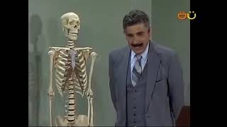 El Chavo del Ocho temporada 1987 episodio N°20 Clases de anatomía El Chavo del Ocho temporada 1987 episodio N°20 Clases de anatomía
