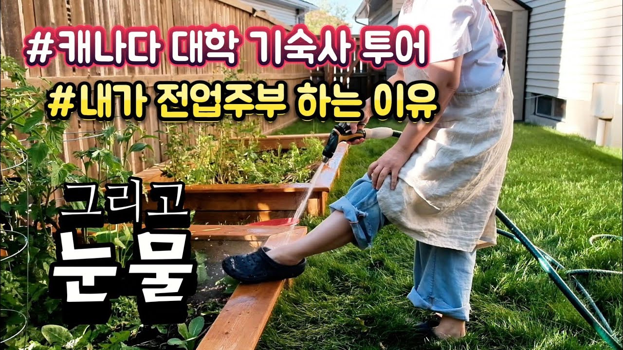 18년 품은 아들을 보내며.. 이유있는 전업주부의 눈물. 대학기숙사투어, 폭식, 유채김치, 말레이시안푸드, 김치볶음밥