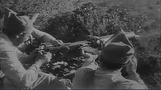 We Are Number One But Its Turkey