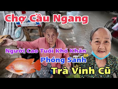 Chợ Cầu Ngang Trà Vinh Cũ Người Cao Tuổi Khó Khăn Hạnh Phúc Nhận Quà Và Phóng Sanh Khương Nhựt Minh