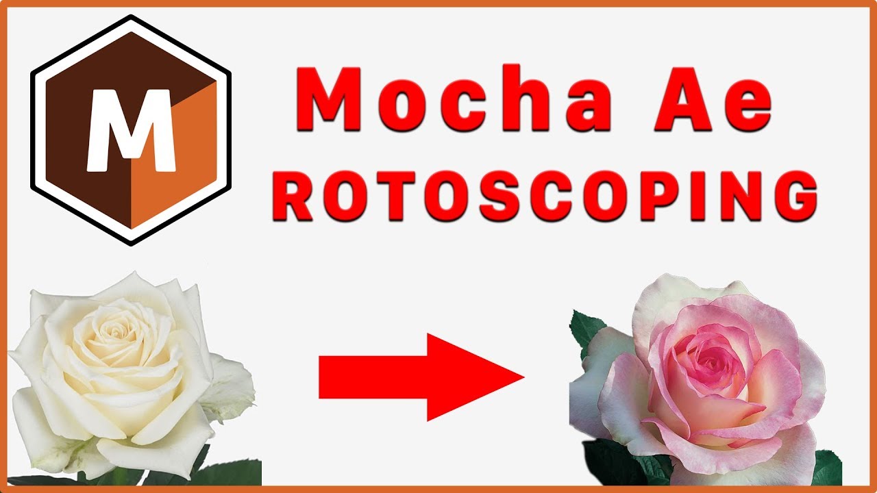 ✅ [After Effect] Lesson 03: Mocha Ae : Rotoscoping After Effect CC