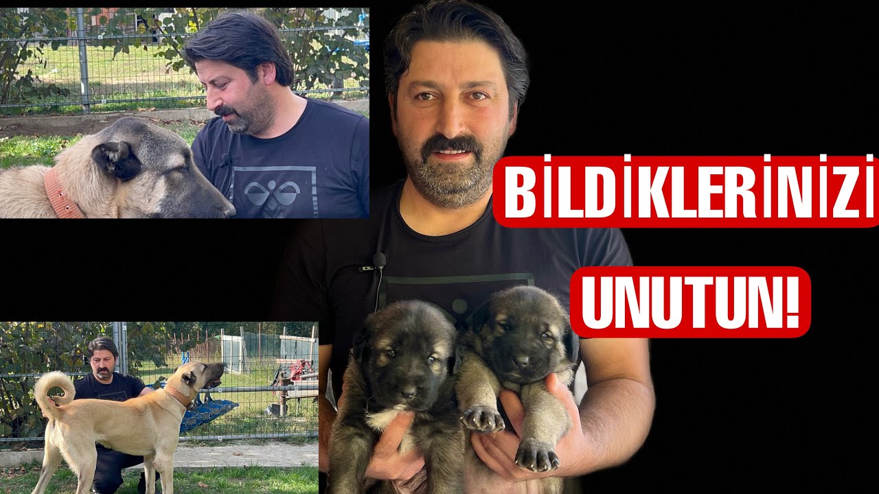 BİLDİKLERİNİZİ UNUTUN!
