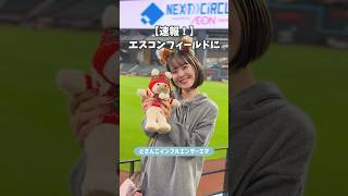 エスコンフィールドに世界にひとつだけのテディベア作ってきた