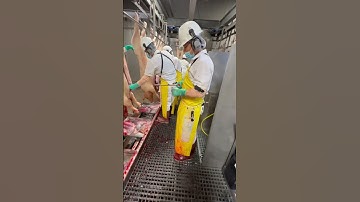 Evisceration (Gutting) - Killfloor/Butcher