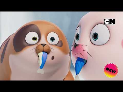 [씰룩] 공식 예고편 | 매주 월-화 오후 5시 | <strong>Cartoon</strong> <strong>Network</strong> |@카툰네트워크