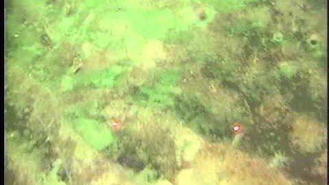 C0111SC_Tape43o.noaudio.converted.mpg