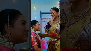 Love At First Sight Crush Sighting  true Love Cute Couples viral tiktok love youtube