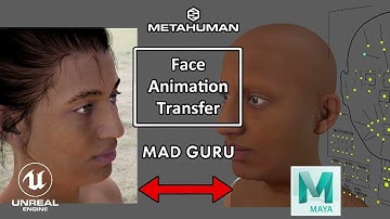 Metahuman Face Animation Transfer