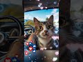 Полная версия музыки для котов здесь Https Www Youtube Com Watch V MHCZy RsIOk Полная версия музыки для котов здесь Https Www Youtube Com Watch V MHCZy RsIOk