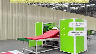 Automatic Polyethylene Foam Skiving Machine | Accurate Sheet Cutting & Conveyor System