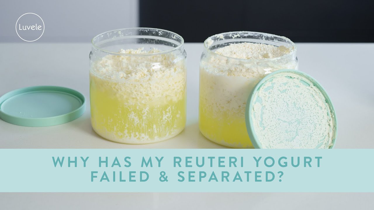 Почему мой йогурт Reuteri испортился и расслоился?