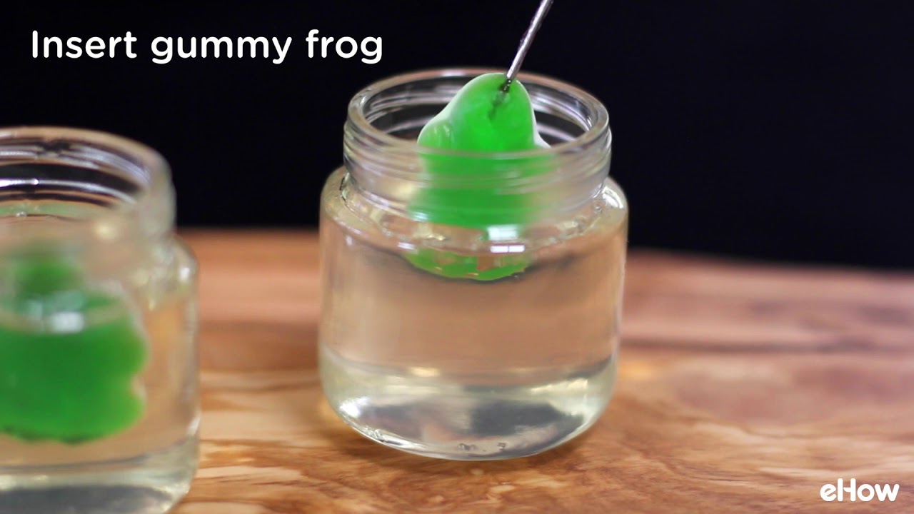 DIY Frogs in Formaldehyde JellO Shots YouTube