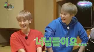 [FULL] [INDOSUB] Travel the world on EXO s ladder CBX Japan Ep 01