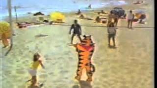 80S Frosted Flakes Commercial Beach Volleyball