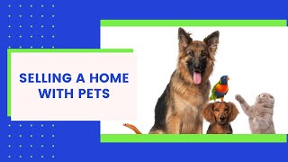 How to Sell a Home With Pets