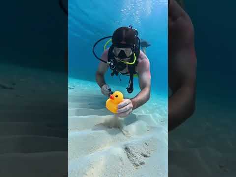 This is why I'm always the "water guy"#underwater #diving