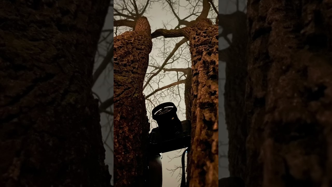 Taking photos in the fog at night. Two approaches. 