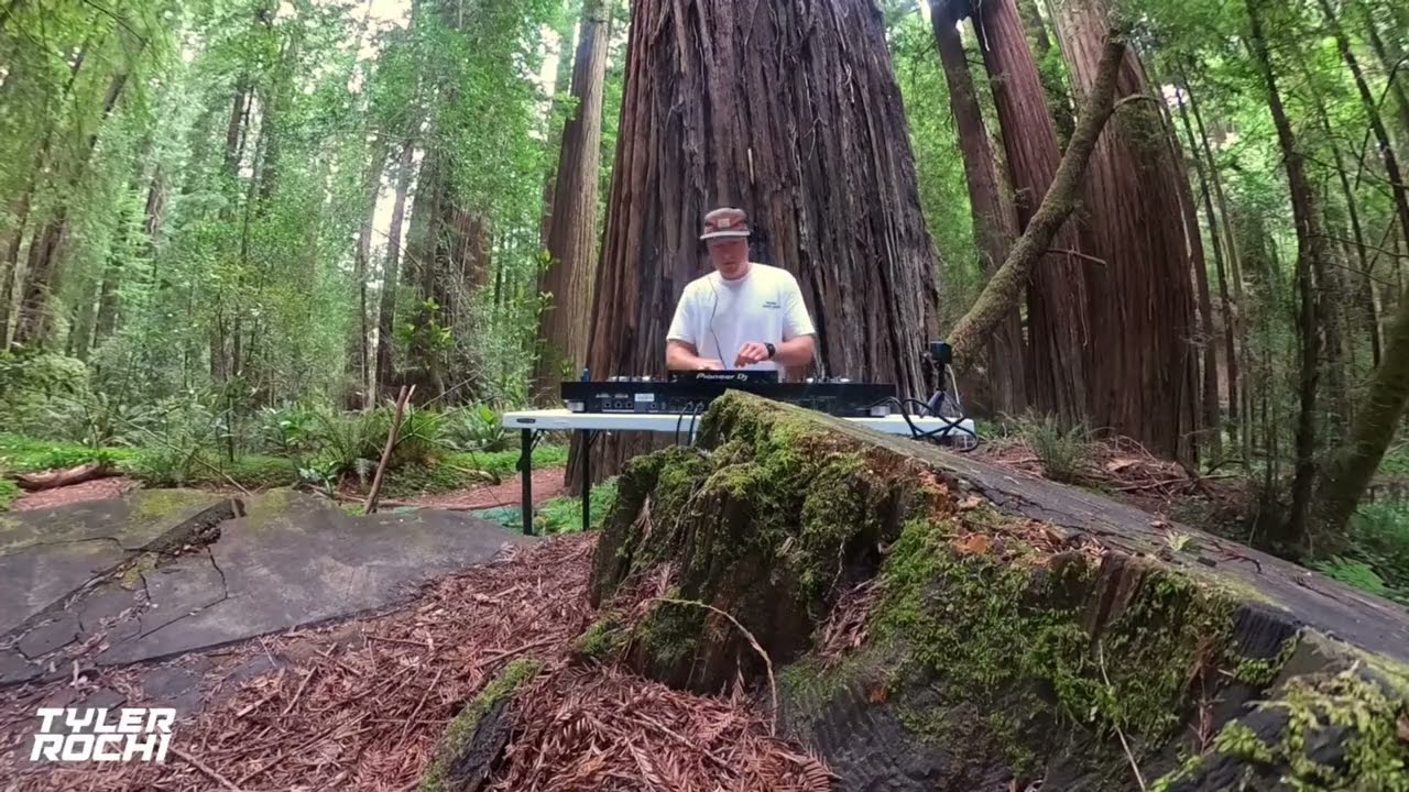 Tyler Rochi House Music DJ Set in the California Redwoods