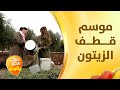 موسم قطف وعصر الزيتون موسم الخير والبركة ينتظره الكثيرون بشوق كبير صباح الخير يا أردن 
