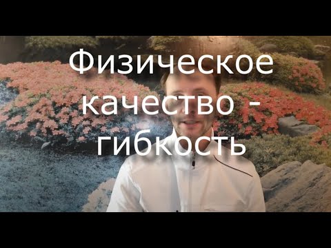 Гибкость - разбираем физическое качество