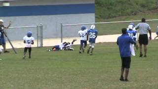 marcus hunt #2 demopolis tigers