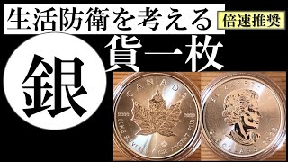 【銀貨一枚】1オンス カナダ メイプル地金型銀貨を楽天ショップ（野口コイン）で購入した体験談