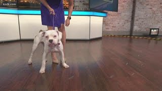 Sammy's Stars: September 17, 2019