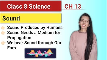 Sound (Part-2) |Class 8 Science Chapter 13| @shavetakaadda