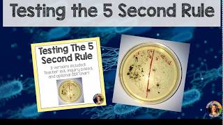 Five second rule lab