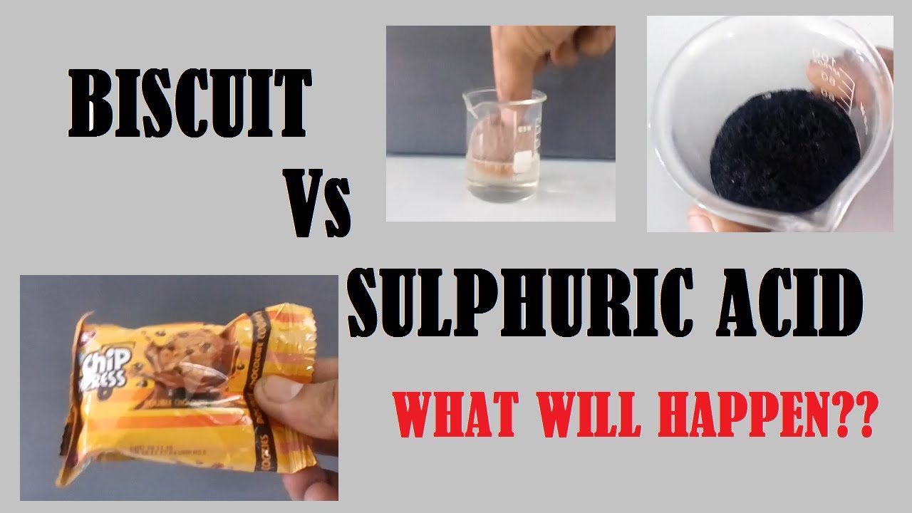 Sulphuric acid and Biscuit ( What will happen ) YouTube