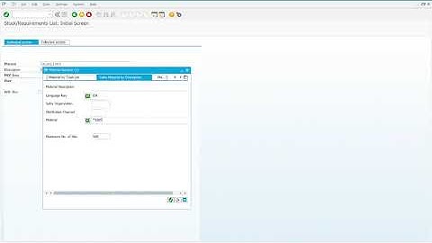 MM   Step 4 Display StockRequirements List