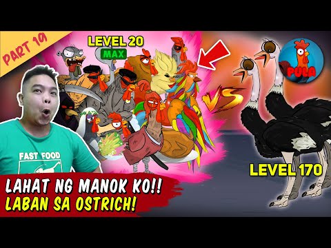 Video: Gaano kadalas magkaroon ng mga sanggol ang pugo?