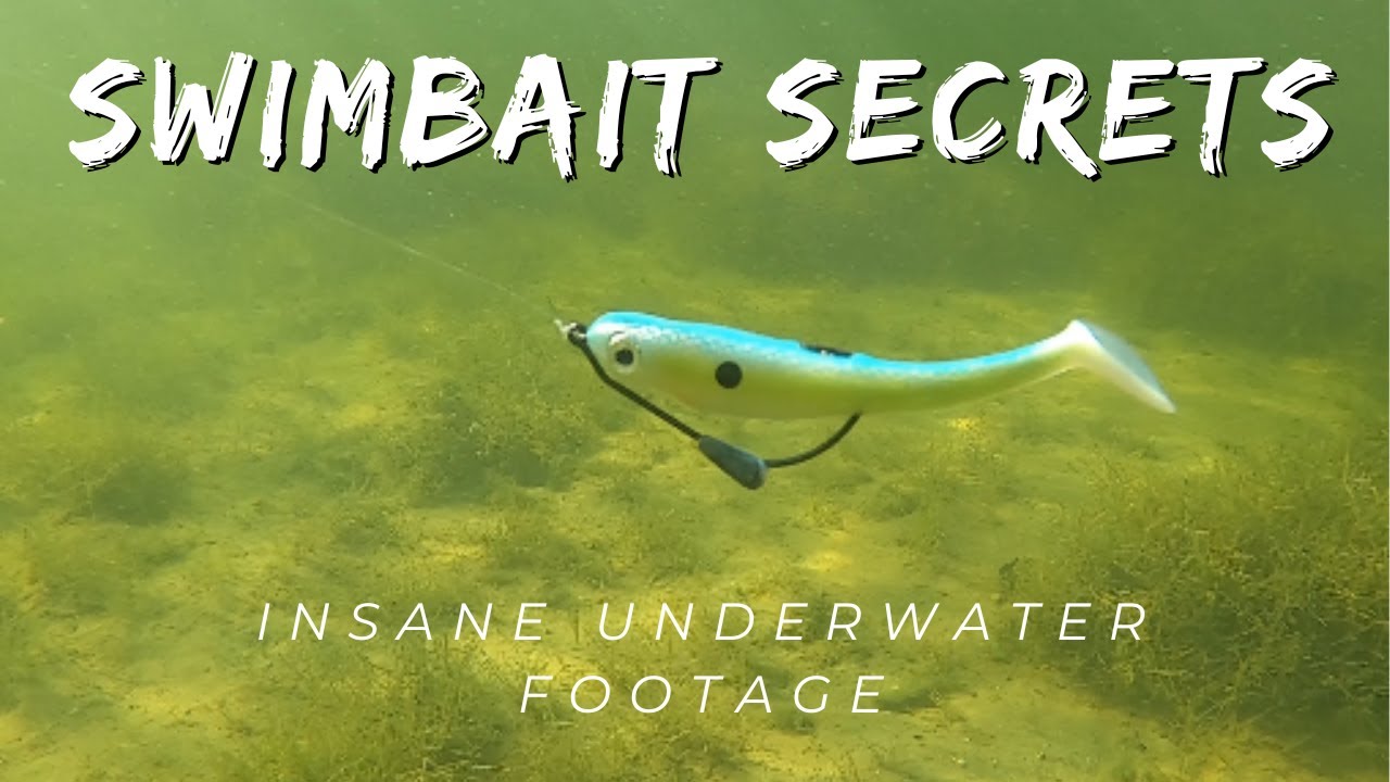 Swimbait bass fishing. Insane underwater footage
