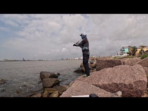 Freeport Surfside Jetty Fishing Update June 2025