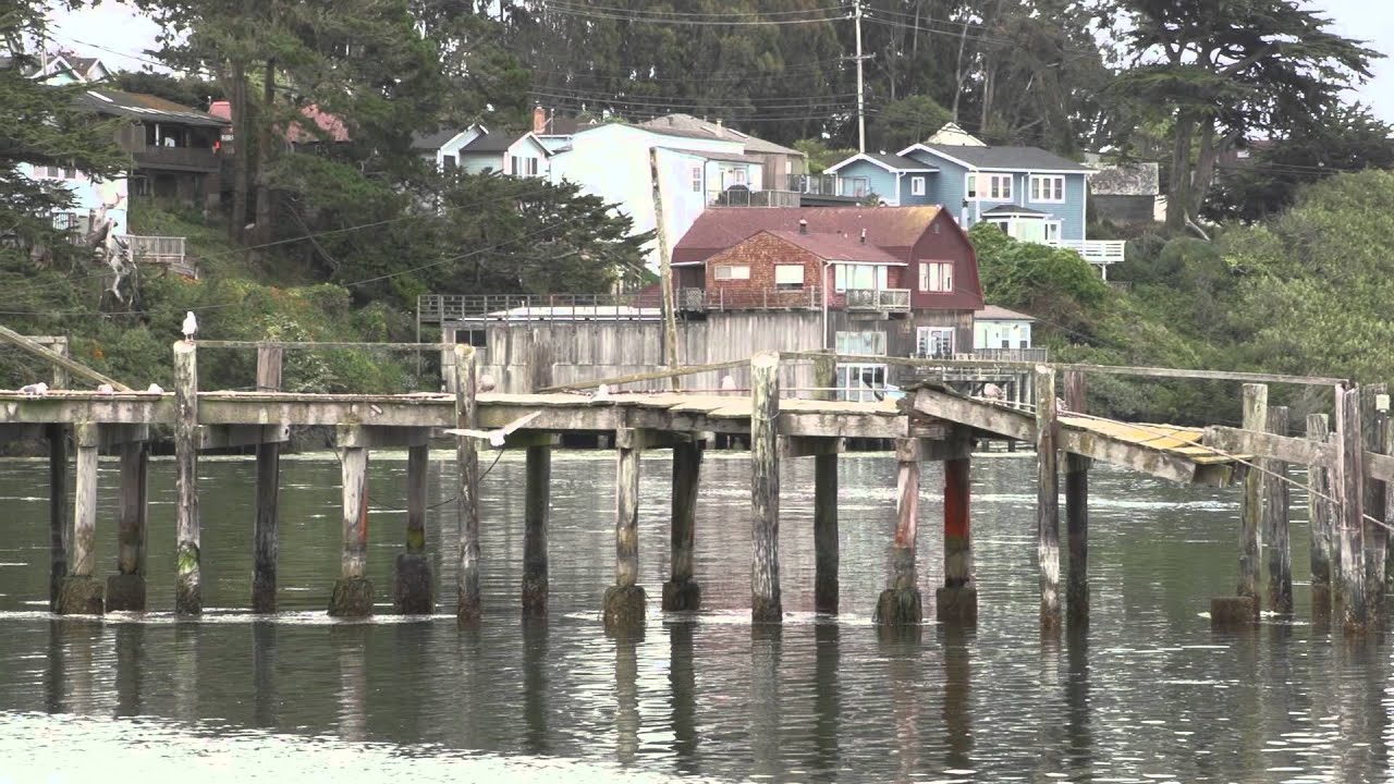 Bodega Bay, California YouTube