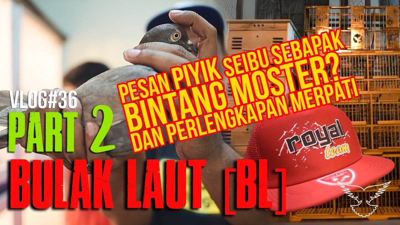 PIYIK SEIBU SEBAPAK BINTANG MONSTER | PART - 2 FREE FLIGHT KE BULAK LAUT (BL) TEAM BANDUNG