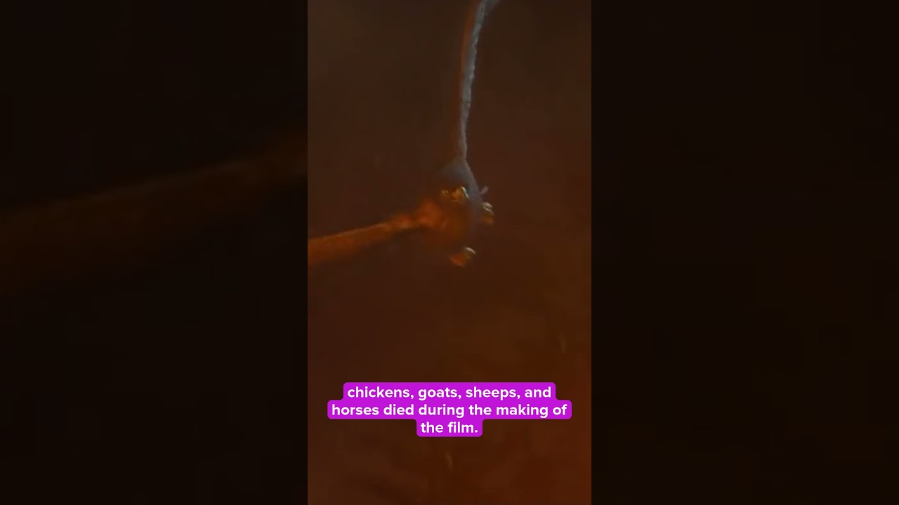 You Didn’t Know This About The Hobbit: An Unexpected Journey…