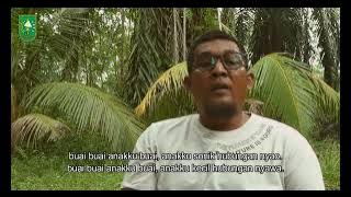 Syair Lagu Ulak Bosa Sintong Rokan Hilir Riau