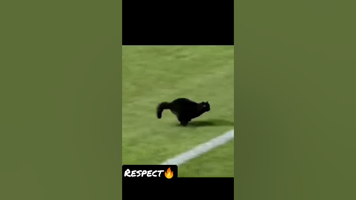 Black Cat comes in the Field and scores a Goal 😎💯