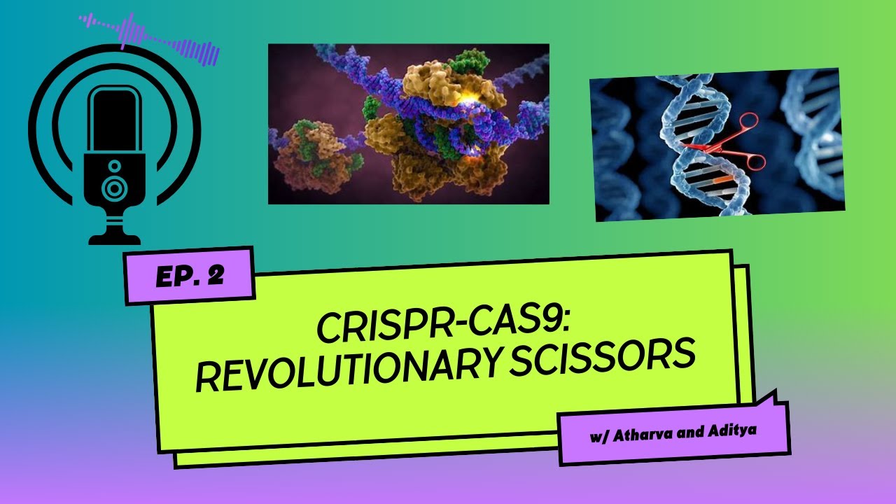 BioFrontier Files (ep. 2): The Crispr-Cas9 system