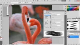 How to paint with the Brush tips in Photoshop