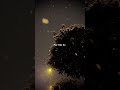 Har Kisi Ko - Arijit Singh ||whatsapp Status || Aesthetic Status || #shortvideo #viralvideo #song