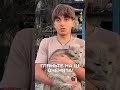 У ЗАПОРІЖЖІ після нічної атаки ВРЯТУВАЛИ КОТИКА